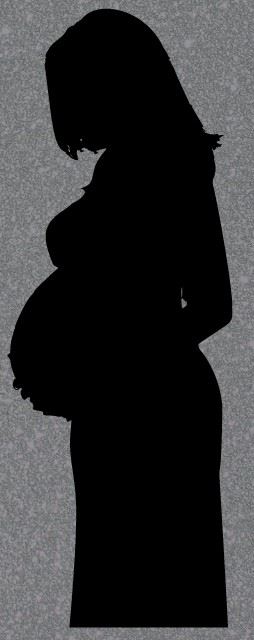 Pregnant Woman Silhouette